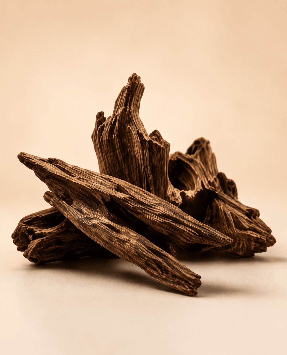 OUD